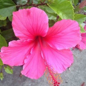 Meet your Posher, Eileen